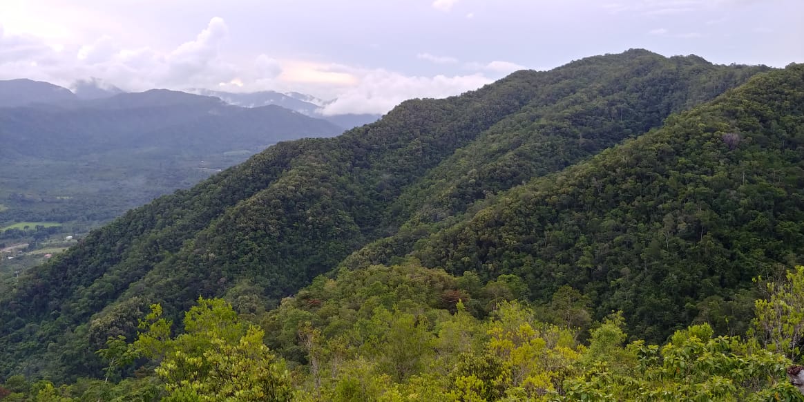 IMG-20190916-WA0050